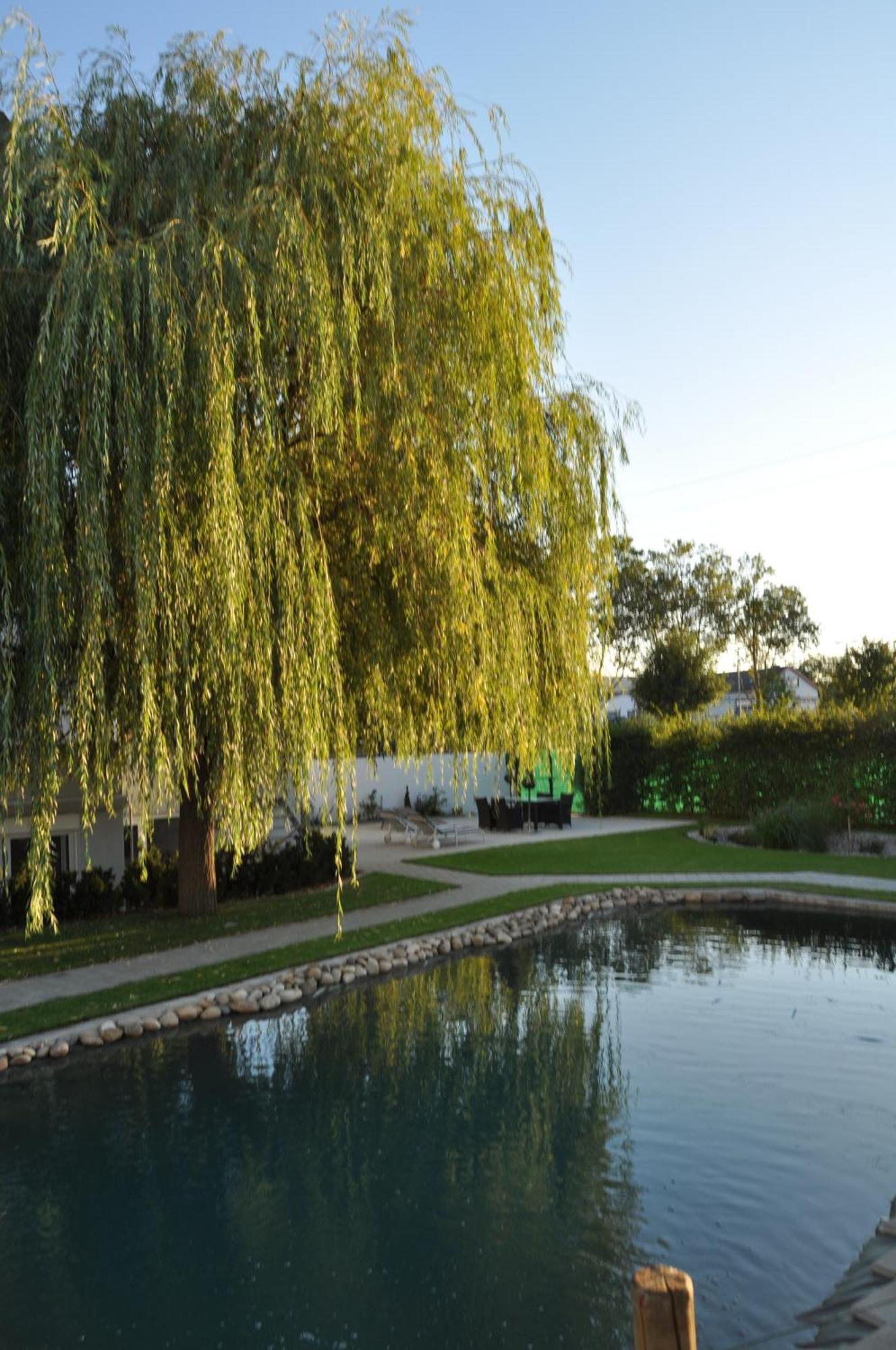 Kirchers Park & Wellnesshotel Kaiserstuhl Garni Endingen am Kaiserstuhl Bagian luar foto
